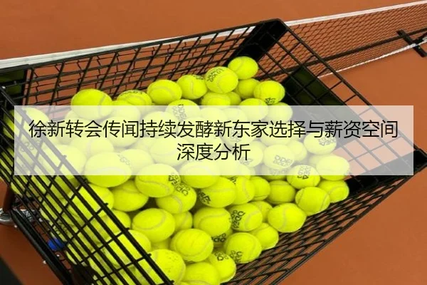 徐新转会传闻持续发酵新东家选择与薪资空间深度分析
